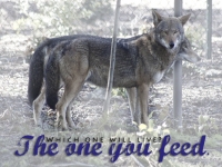 theoneyoufeed