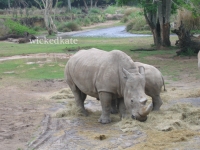 zoo16