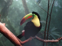 zoo18