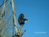 zoo20