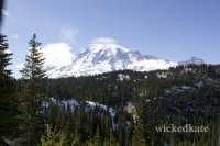 rainier11