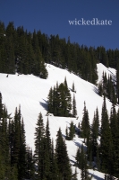 rainier14