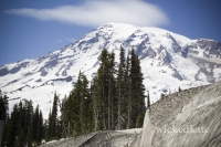 rainier15