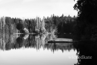 rainier3